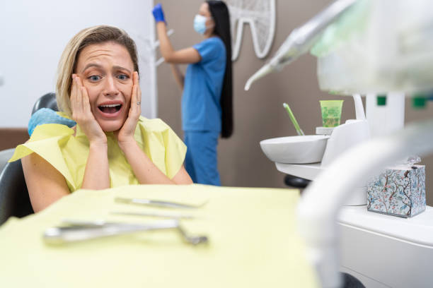 Best Emergency Dental Care for Broken or Chipped Teeth in Oakwood, IL